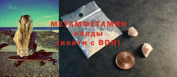 прущие грибы Дедовск
