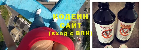 прущие грибы Дедовск