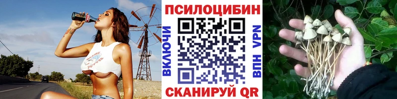 Псилоцибиновые грибы Psilocybe  Шелехов 